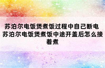 苏泊尔电饭煲煮饭过程中自己断电 苏泊尔电饭煲煮饭中途开盖后怎么接着煮